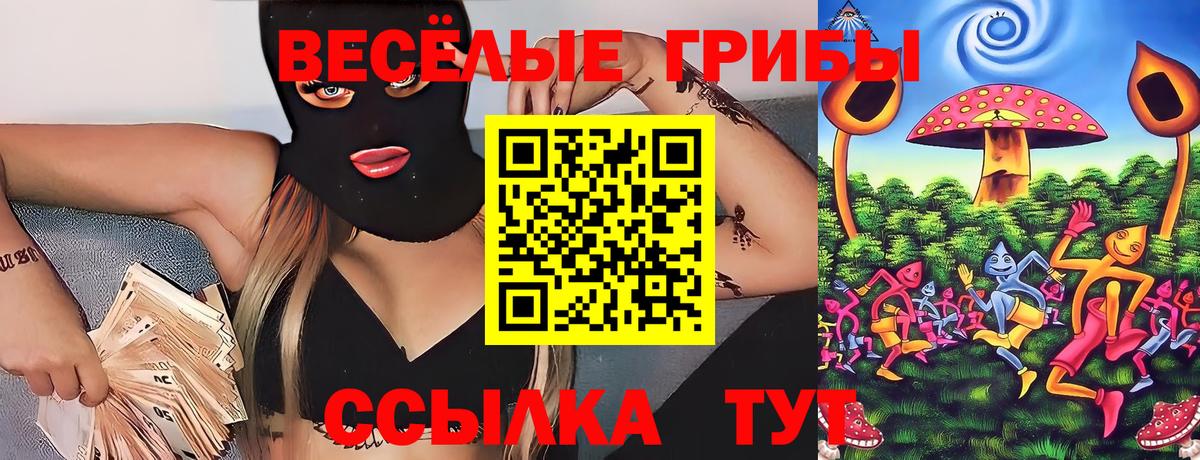 Псилоцибиновые грибы Cubensis Мелеуз
